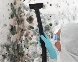 Best Mold Prevention Services  in Haines City, FL